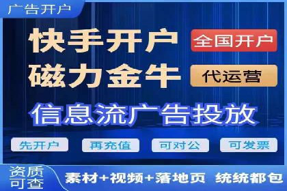 SEM代运营机构案例分析：优化策略与执行
